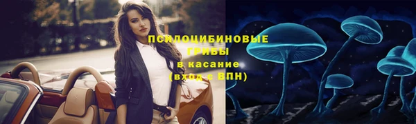 винт Баксан