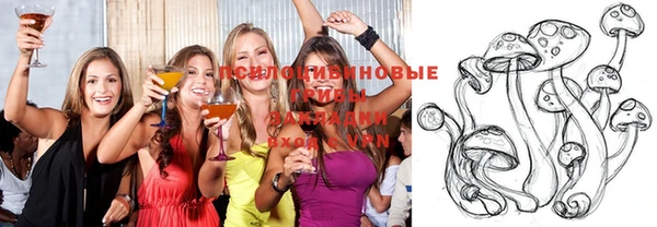 винт Баксан