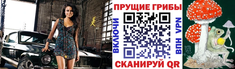 Псилоцибиновые грибы MAGIC MUSHROOMS  купить закладку  Курлово 